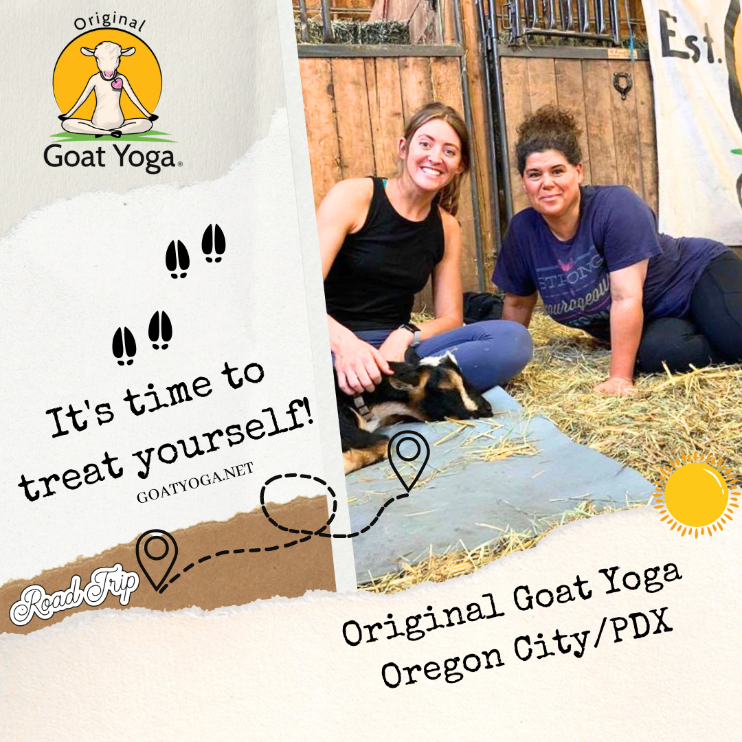 Oregon City Goat Yoga